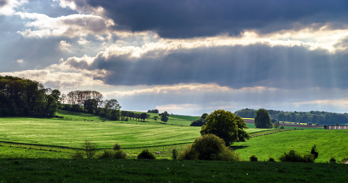 Météo Belgique ce week-end 28-29 mars 2026 : pluie samedi, soleil et gel dimanche avant le changement d'heure